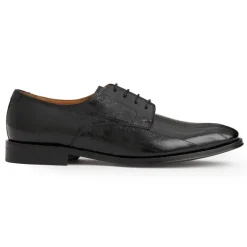 Asti Traditional Dress Oxford^Bruno Magli Flash Sale
