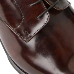 Asti Traditional Dress Oxford^Bruno Magli Best